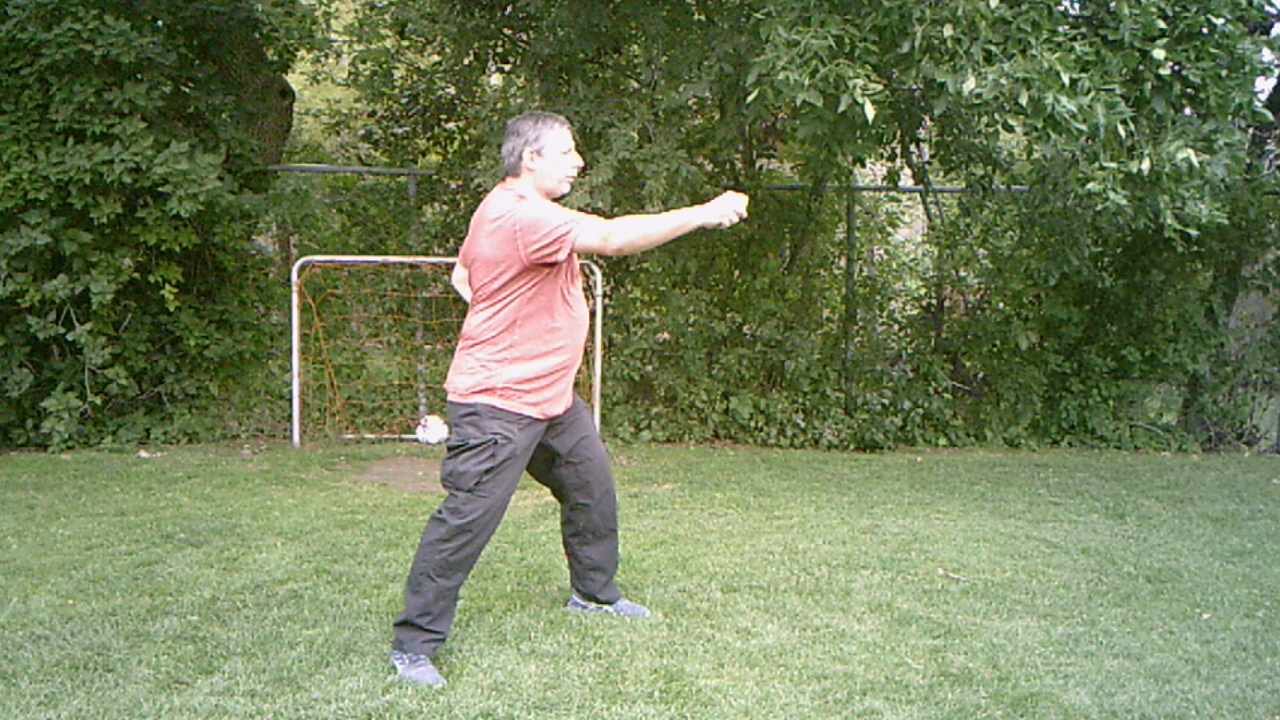 Hunyuan 24 form posture 21 Chest Level Punch