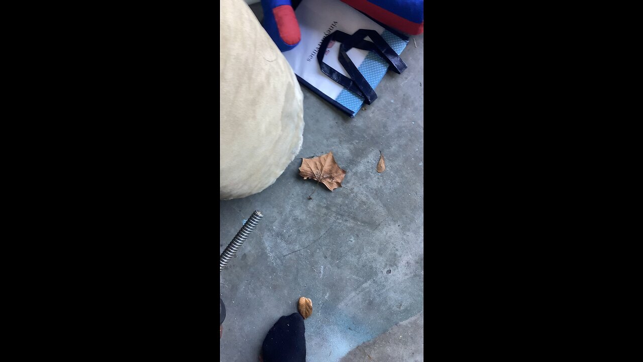 Leaf me alone