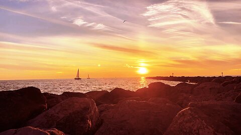 Venice Beach Florida Sunset - 2024