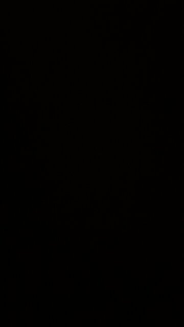 A gold backed currency