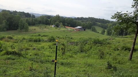 Virginia Countryside #slowmotion FREE Backgrounds for video creators NO Copyright