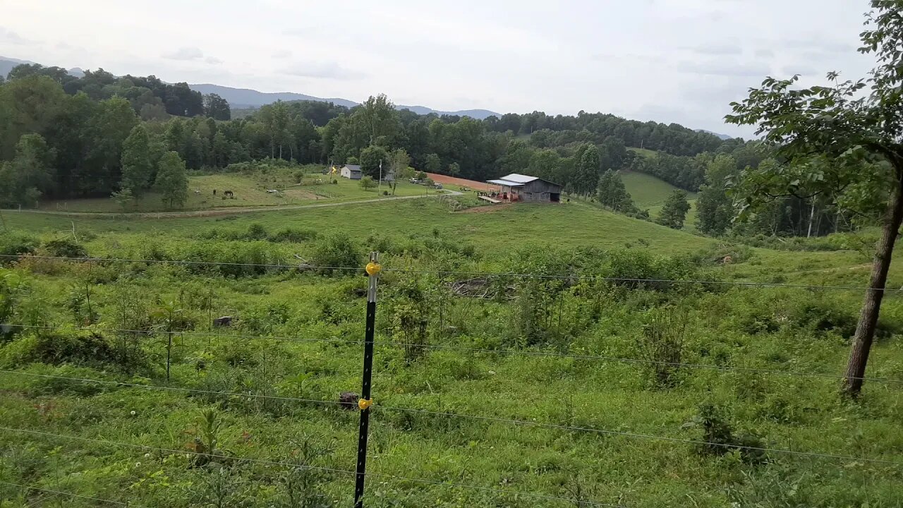 Virginia Countryside #slowmotion FREE Backgrounds for video creators NO Copyright