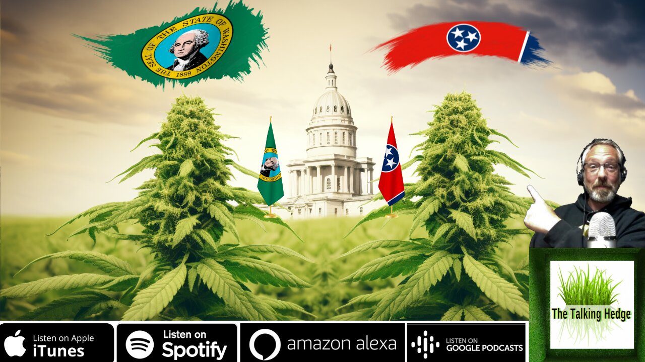 Exploring Cannabis Growing in WA and Hemp Farming in TN