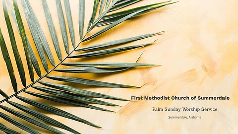 Sunday Worship Service - March 24, 2024 (Palm Sunday)