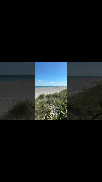 Happy Saturday! #justicefordanmarkel