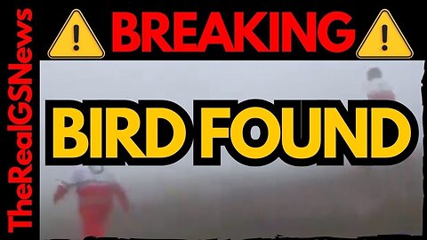 RED ALERT: BIRD FOUND [ NOT GOOD ] GET READY