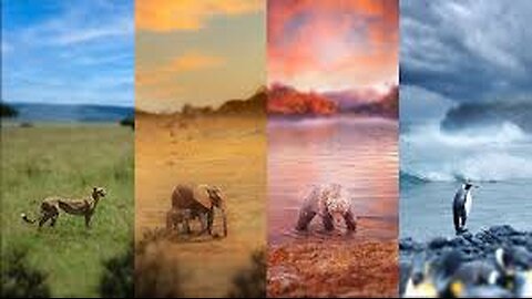 one year on planet earth