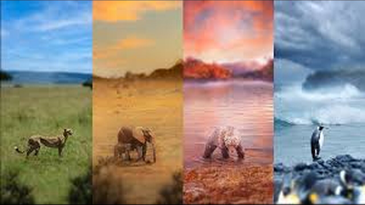 one year on planet earth