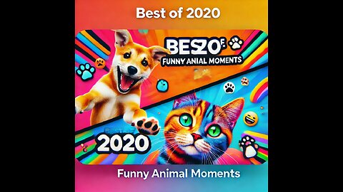 Best of 2020: Hilarious and Adorable Animal Moments 🐕🐈