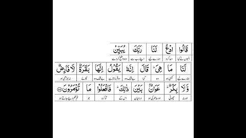 Knowledge of Quran |Surah Al-Baqarah |Ayat-68|Part-2|