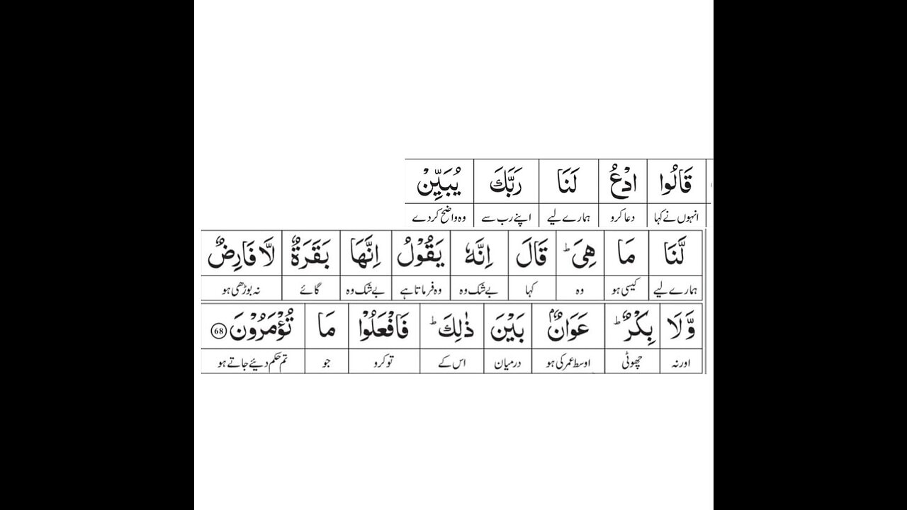 Knowledge of Quran |Surah Al-Baqarah |Ayat-68|Part-2|