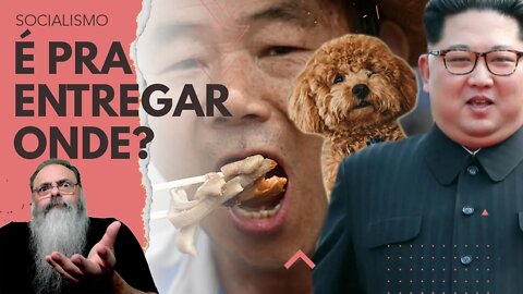COREIA do NORTE proíbe CACHORRO de ESTIMAÇÃO, que DEVE ser ENTREGUE no RESTAURANTE mais PRÓXIMO