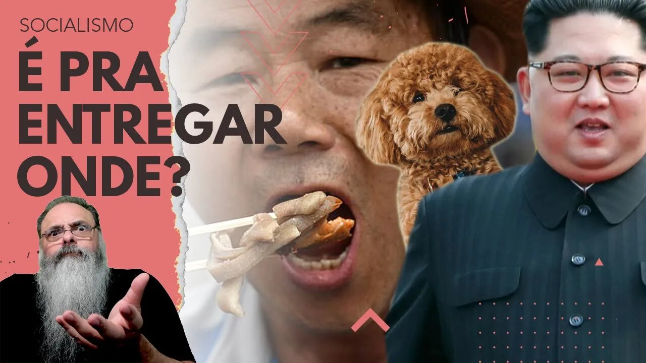 COREIA do NORTE proíbe CACHORRO de ESTIMAÇÃO, que DEVE ser ENTREGUE no RESTAURANTE mais PRÓXIMO