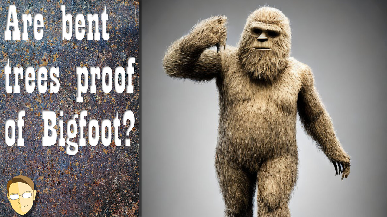 r/Bigfoot The trees didn't BEND THEMSELVES