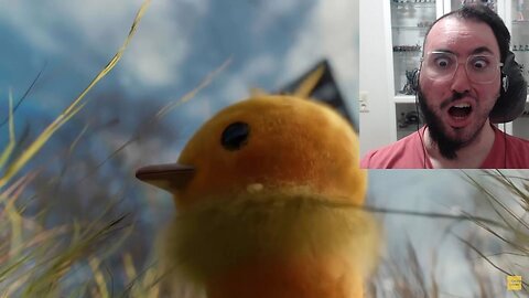 The Fiery Fluffball - Torchic | PokéNational Reaction