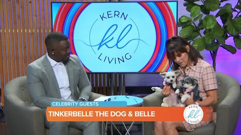 Kern Living: Tinkerbelle the Dog & Belle