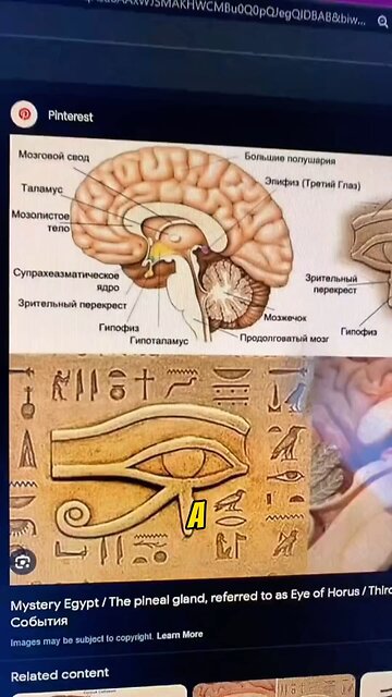 A glândula pineal representa muito para o organismo humano?