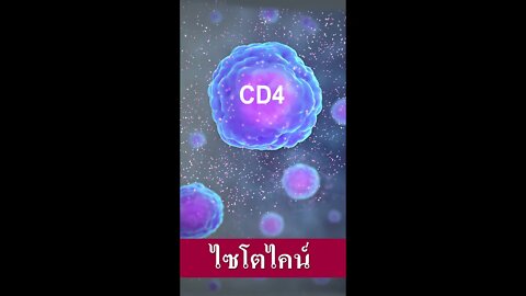 4ไล้ฟ์ ทรานสเฟอร์ แฟกเตอร์ พลัส กระตุ้นการหลั่ง ไซโตไคน์ (Cytokine)