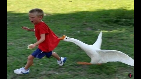 TRY NOT TO LAUGH CHALLENGE | IF YOU LAUGH TRY TO BEING A VEGETARIAN | #viral #funny
