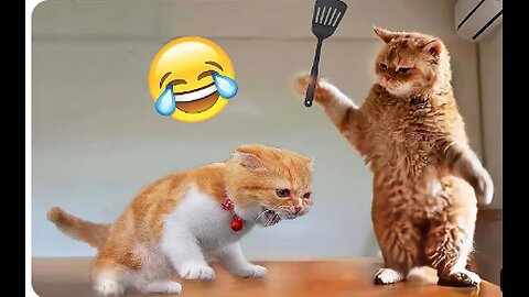 Funny/Cute Animal Videos 2024😂😂