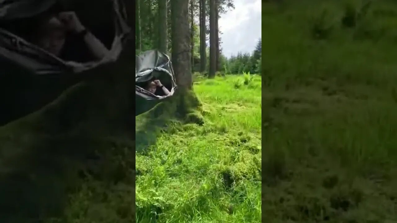 just hanging around #shorts #camping