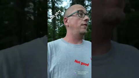 Feral Pig! Was this someone’s pet?￼