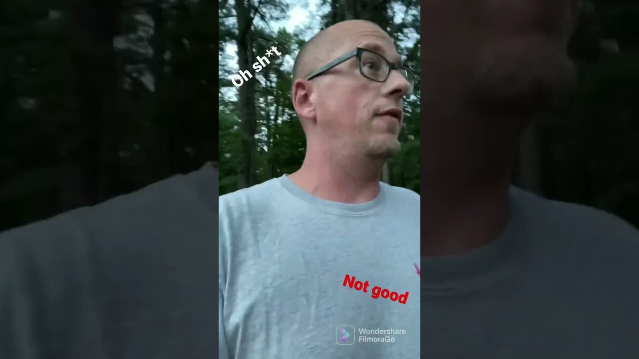 Feral Pig! Was this someone’s pet?￼