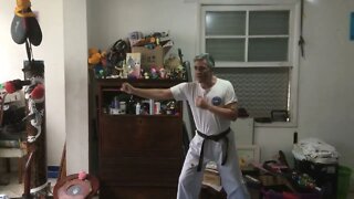 Mundo das artes marciais com Neo one hit kick KO