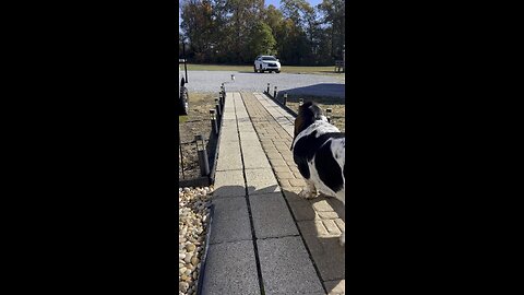 Charlie’s best friend!