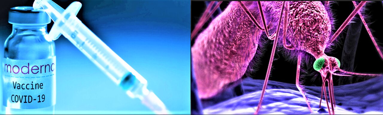 CHINA EXPERIMENTS WITH SPREADING V*A*X THROUGH MOSQUITO BITES*INFERTILITY*MISCARRIAGES*CANCER RISE*