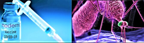 CHINA EXPERIMENTS WITH SPREADING V*A*X THROUGH MOSQUITO BITES*INFERTILITY*MISCARRIAGES*CANCER RISE*