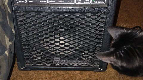 No song . Just fingering my bass guitar