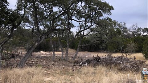 Vintage Oaks Lot 1783 Tour