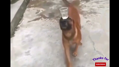 Shouldn't fall the glass of water😂😂trending video