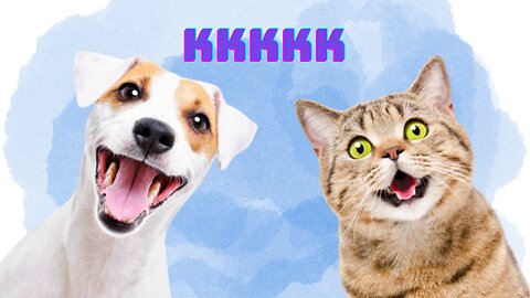 many funny animals