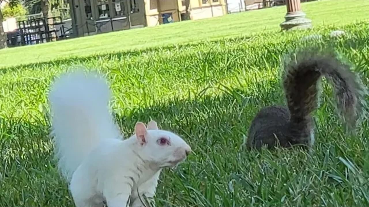 #camping #burkelake #tentifa #suicidesquad #upallnight