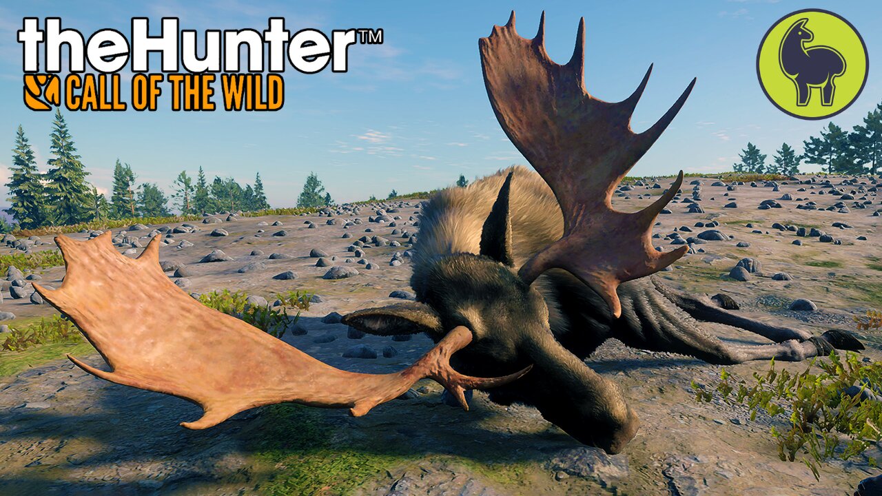 Wild Moose Chase, Hunt Club Beta | theHunter: Call of the Wild (PS5 4K 60FPS)