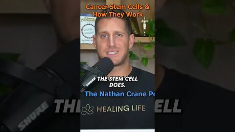 Cancer Comes Back If The Stem Cells Are Not Destroyed