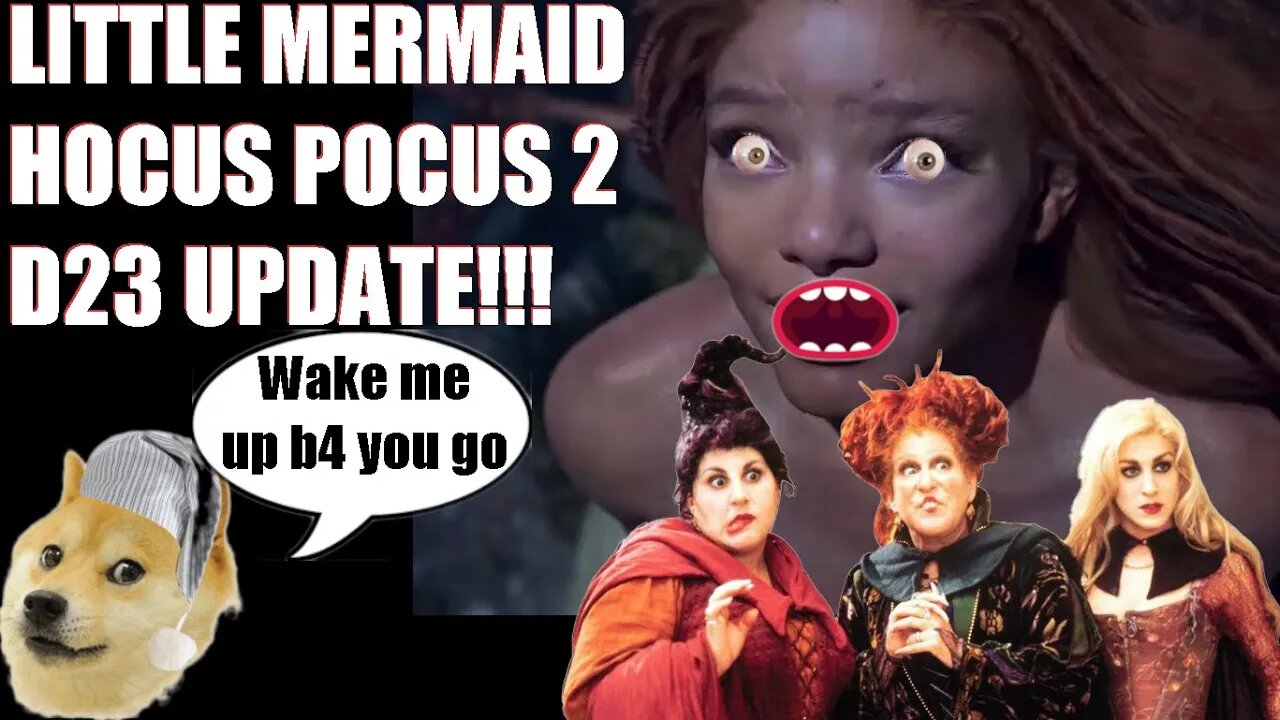 Little Mermaid, Hocus Pocus 2 and D23 Update