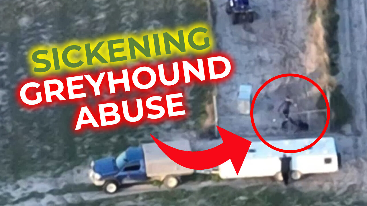 Sickening Greyhound Abuse - ABC News Posts Drone Footage