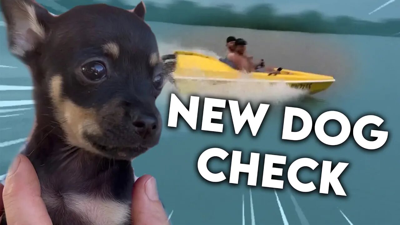 NEW PUPPY BENTLEY + Fun Boat! (JP Vlog)