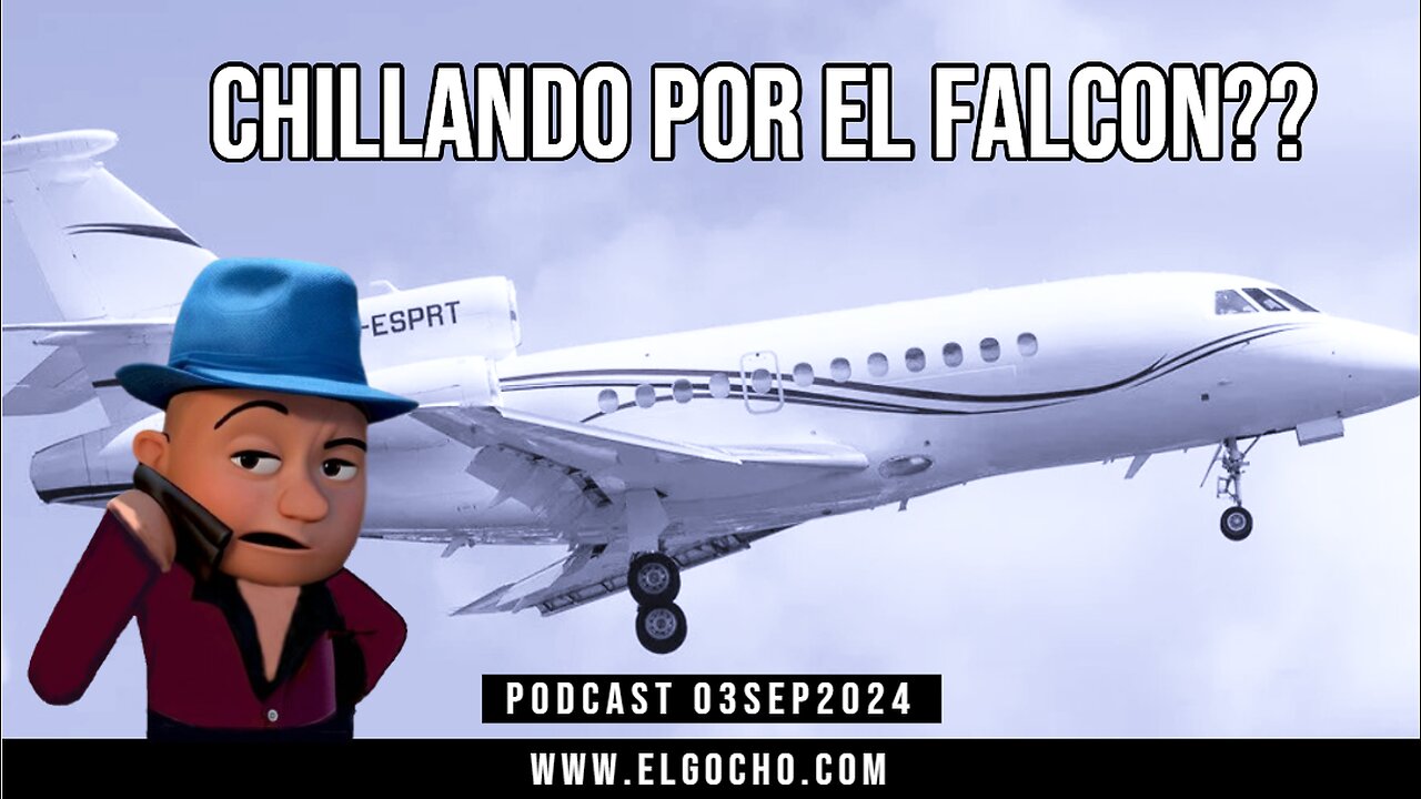 [03SEP2024] CHILLANDO POR EL FALCON?? [GOCHO.OFICIAL]