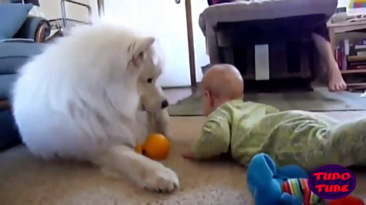 Funny jokes kids playing with dogs jokes with dogs