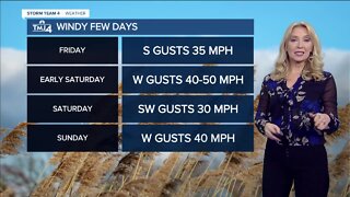 Southeast Wisconsin weather: Cloudy Friday with evening rain showers