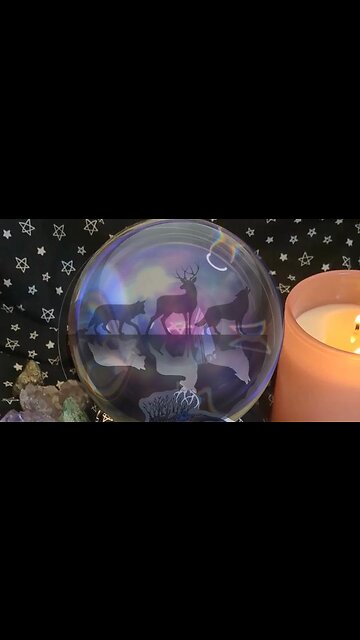 Padfoot, Prongs, Wormtail and Moony