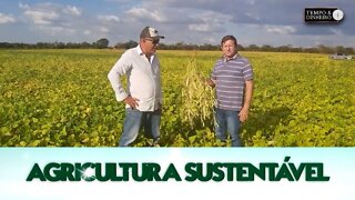 Agricultura Sustentável - com Frederico Olivi