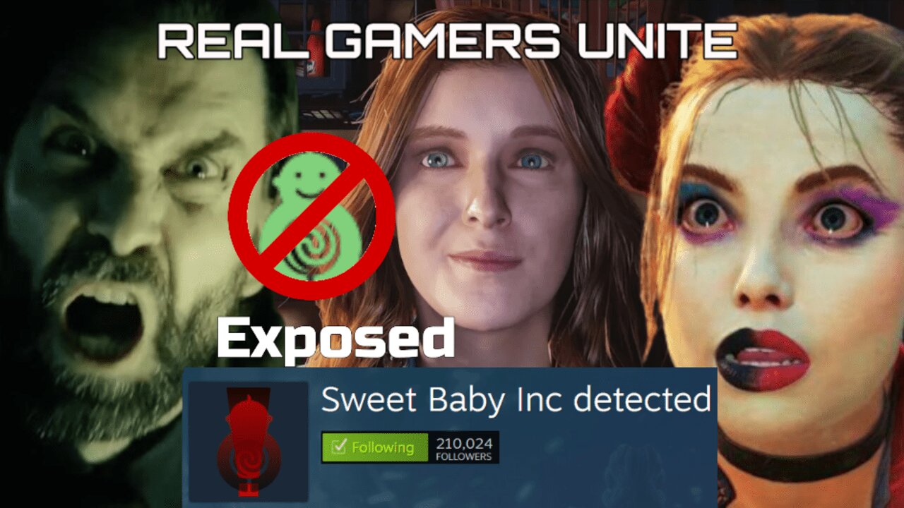 Sweet Baby Inc Expose Themselves & Real Gamers Push Back Understanding The Big Picture Now