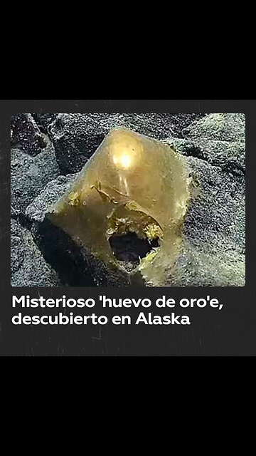 Descubren un ‘huevo de oro’ en el fondo marino de Alaska