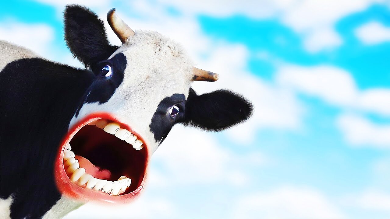 MOO