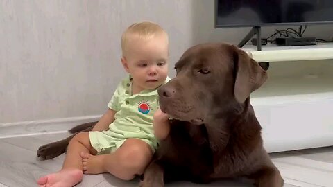 Baby told his seceret to dog!